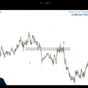 Download Timon Weller - 5 Day Trend Trading Forex Course