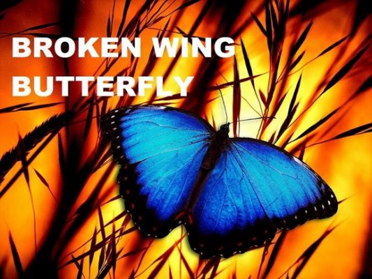 Download John Locke - Broken Wing Butterfly Master Track Series