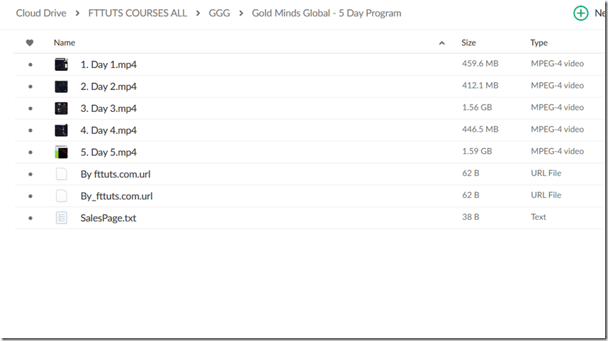 Download Gold Minds Global - 5 Day Program